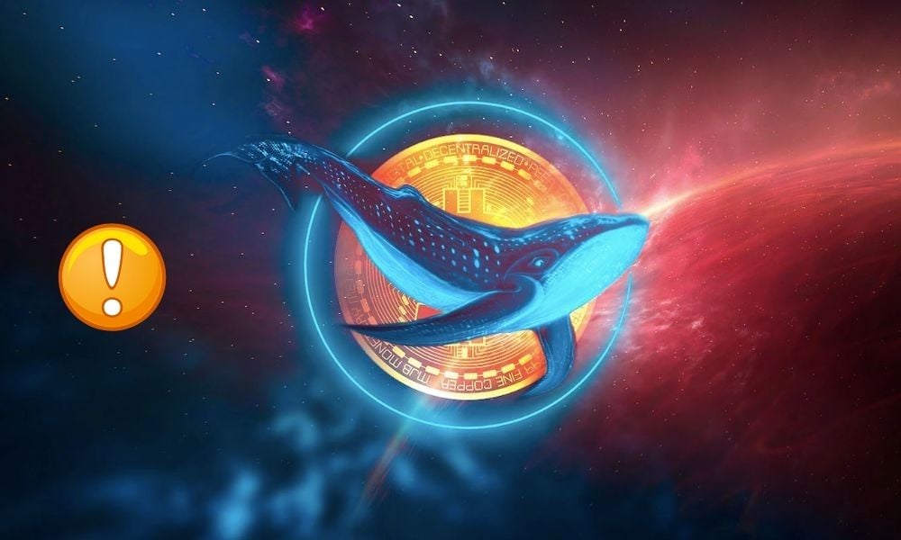 Balinaların Bu Altcoine İlgisi Düşüş Trendine Rağmen Büyüyor!