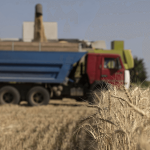 ABD Tahıl Sevkiyatı Girişiminin Uzatılmasında Israrcı