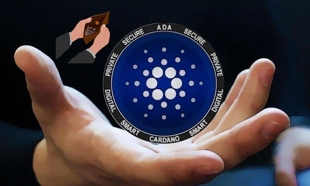 Cardano Yatırımcılarının Çoğu Zararda! ADA için Son Veriler!