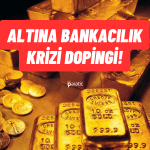 Altın Yeniden Zirvede! Bankacılık Krizi Yükselişi Destekliyor