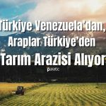 Bakan Kirişçi Açıkladı: Araplar Türkiye’den Tarım Arazileri Alıyor