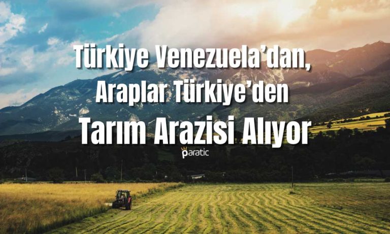 Bakan Kirişçi Açıkladı: Araplar Türkiye’den Tarım Arazileri Alıyor