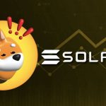 BONK’un Başarısı SOL’un Ayıları Yenmesine Yardımcı Olacak mı?