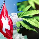 Finansal İtibarı Sarsılan İsviçre’den Esrar Hamlesi