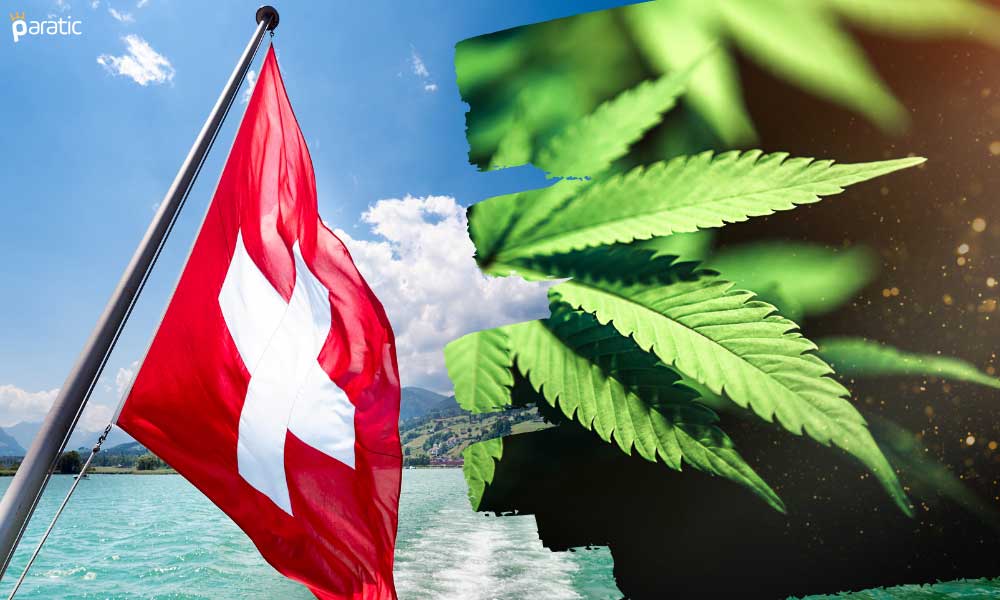 Finansal İtibarı Sarsılan İsviçre’den Esrar Hamlesi