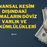 Finansal Kesim Dışındakilerin Döviz Varlıklarında Düşüş Var