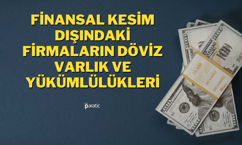 Finansal Kesim Dışındakilerin Döviz Varlıklarında Düşüş Var