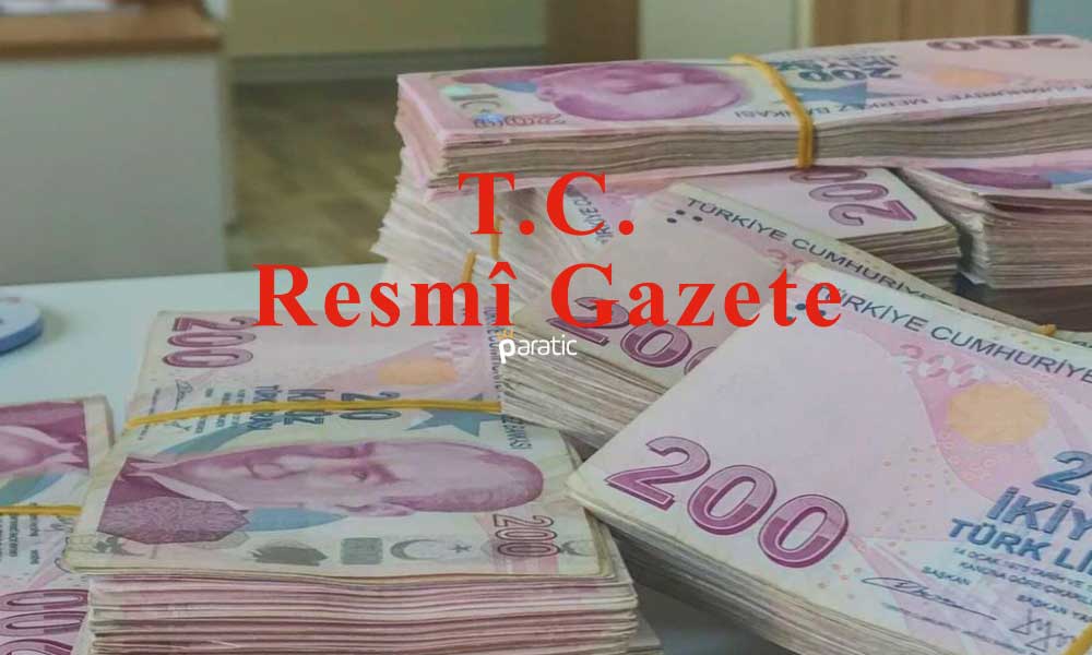 Nakdi Sermaye İndirimi Resmi Gazete’de