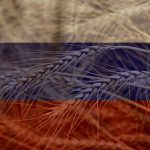 Rusya’dan Tahıl Anlaşması Çıkışı: ABD ve AB için Soğuk Duş Oldu