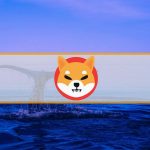 SHIB’de İki Büyük Balina İşlemi! Kritik Seviye Geçilecek mi?