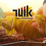 Tarımsal Girdi Enflasyonu Ocak’ta Yüzde 95,99’a Geriledi