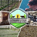 Tarım ve Orman Bakanlığı’ndan Girişimcilere Hibe Desteği