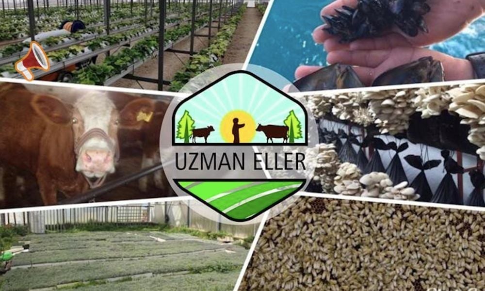 Tarım ve Orman Bakanlığı’ndan Girişimcilere Hibe Desteği