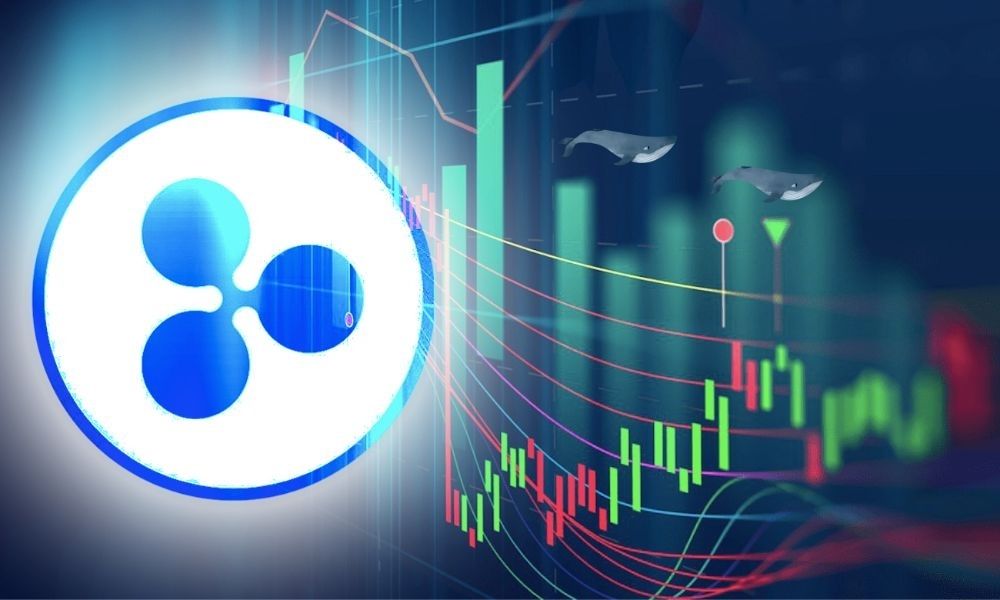 XRP için Boğa Sinyali mi? Balina Çılgınlığı Sürüyor!