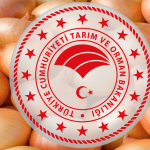 Bakanlıktan Kuru Soğan Açıklaması! Üretim İhtiyacı Karşılayacak