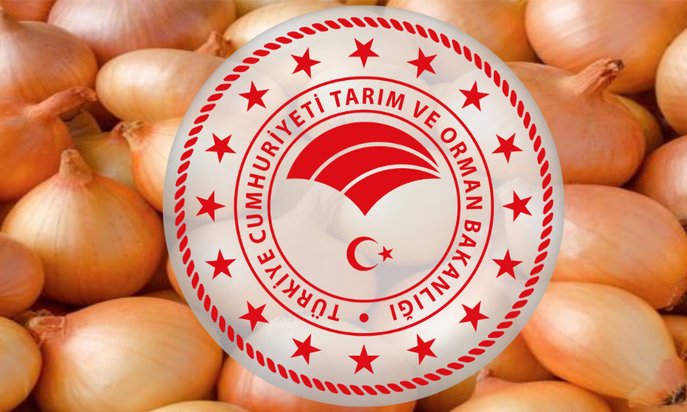 Bakanlıktan Kuru Soğan Açıklaması! Üretim İhtiyacı Karşılayacak