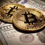 Bitcoin Fiyatının 30 Bin Dolardaki Yavaşlaması Geçici mi?