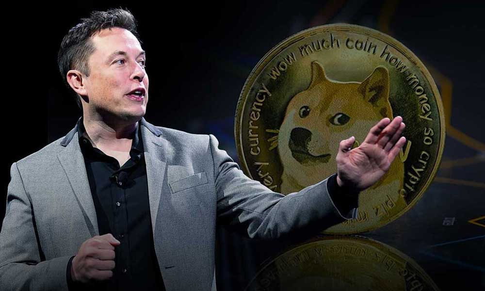 Elon Musk Dogecoin Davasının Düşürülmesini Talep Etti