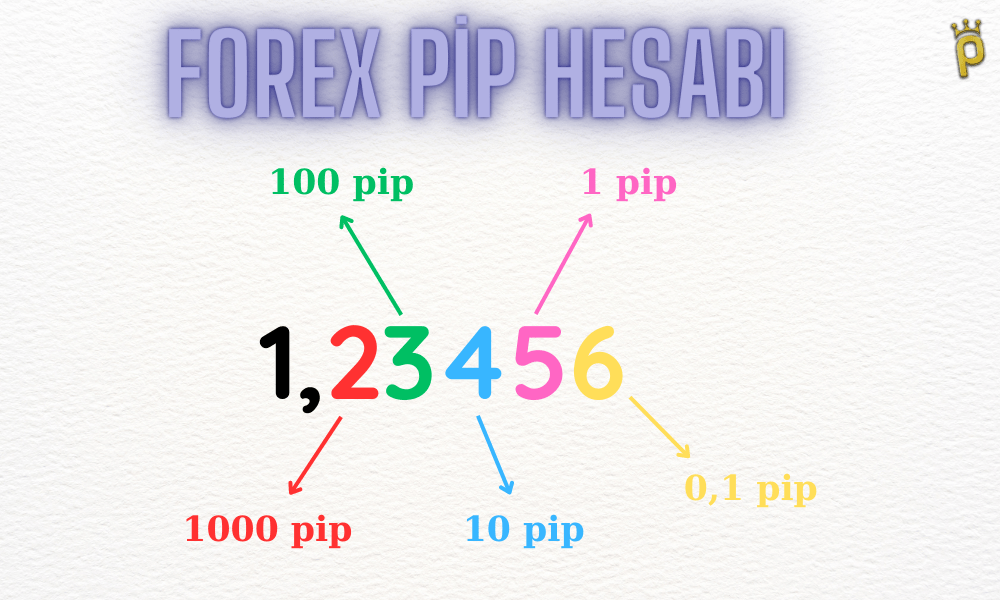 Forex Pip Hesaplama