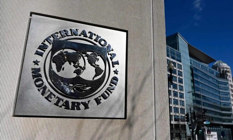 IMF: Finansal Kuruluşların Denetlenmesi Hayati Öneme Sahip