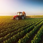 Kırsal Dönüşüm ve Tarıma Yönelik Müjdelerin Detayları Açıklandı