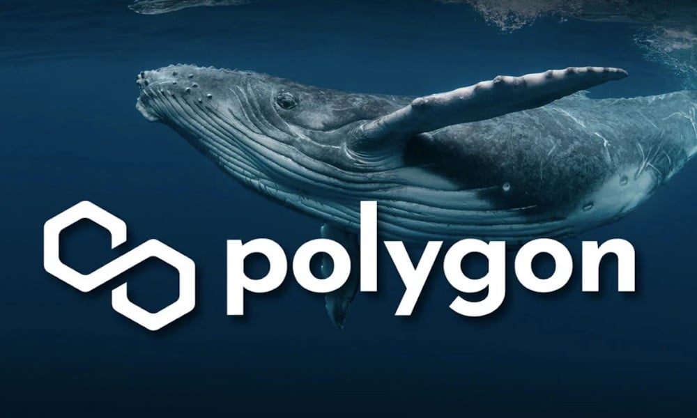 MATIC, ETH Balinalarının En Çok Satın Aldığı İlk 3 Varlık Arasında