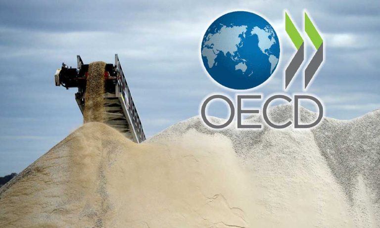 OECD Hayati Malzemelerdeki İhracat Kısıtlamalarına Karşı Uyardı