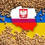 Polonya, Ukrayna’dan Tahıl ve Gıda Alımını Yasakladı