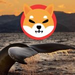 Balinalar Shiba Inu’ya Saldırıyor! Fiyatı Nasıl Etkileyecek?