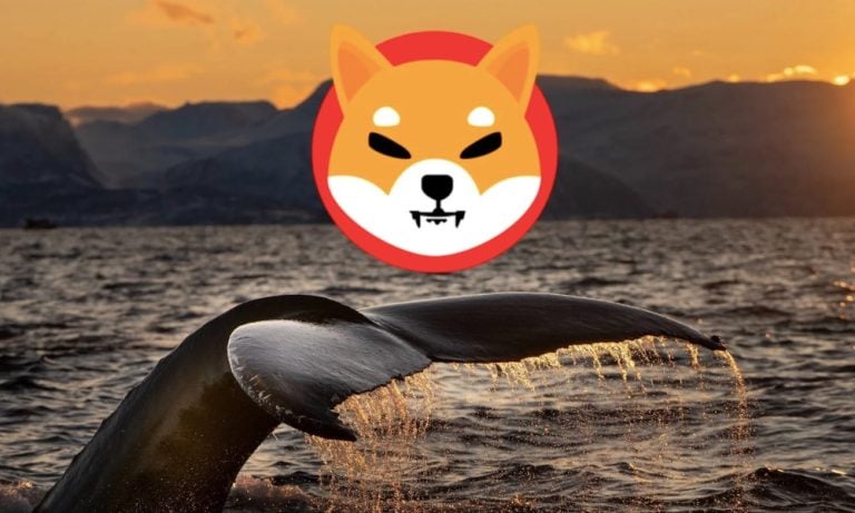 Balinalar Shiba Inu’ya Saldırıyor! Fiyatı Nasıl Etkileyecek?