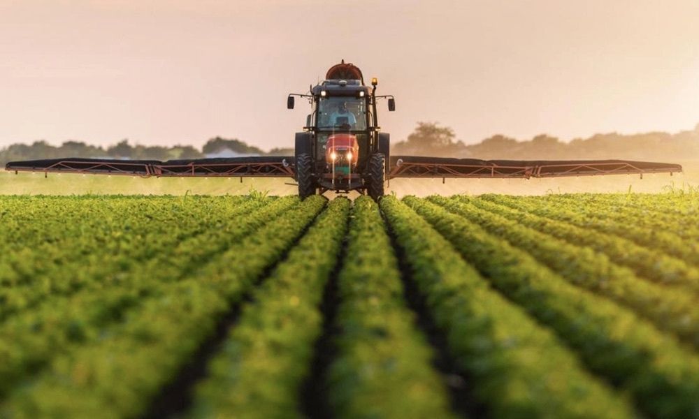 Tarım Bakanlığından 12 Binin Üzerinde Projeye Hibe Desteği