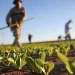 Bakan Kirişci’den Tarımsal Destek Ödemeleri Duyurusu