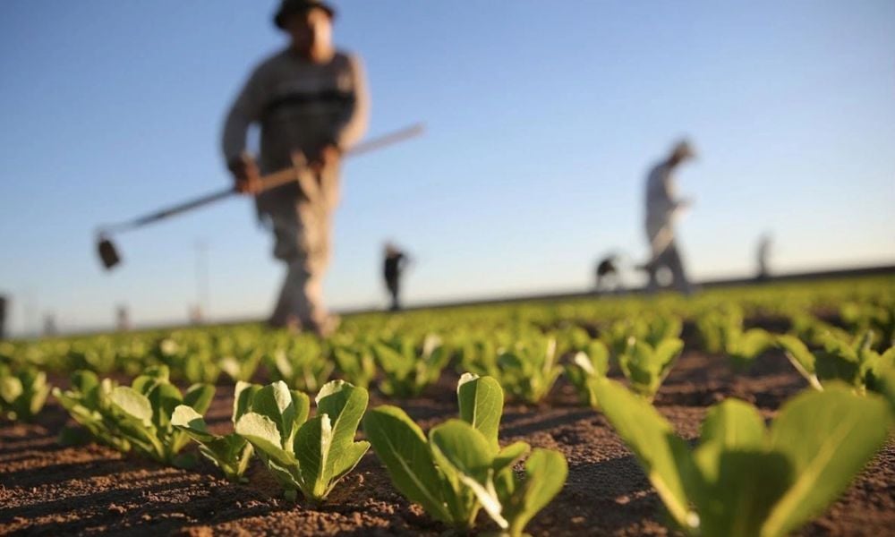 Bakan Kirişci’den Tarımsal Destek Ödemeleri Duyurusu