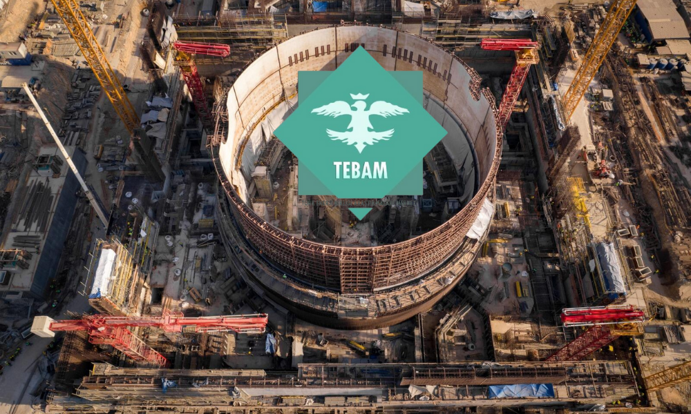 TEBAM Başkanı İlbaş: Akkuyu NGS Türkiye için 47 Yıl Gecikti