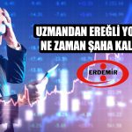 Uzmandan Ereğli Hisse Yorumu: Uyku Döneminde