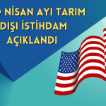 ABD’nin Nisan Ayı Tarım Dışı İstihdamı Beklentinin Üzerinde