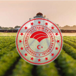 Bakanlık Duyurdu! Tarımsal Destek Ödemeleri Hesaplara Yatacak