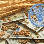 Küresel Gıda Fiyatları Nisan’da Artarken, Yıllık Bazda Düşüş Sürüyor