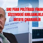 ECB Mayıs Ayı Finansal İstikrar İnceleme Raporunu Yayımladı