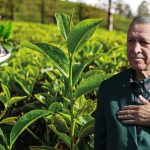 Erdoğan Üreticiye Seslendi: Yaş Çay Alım Fiyatı Güncellendi