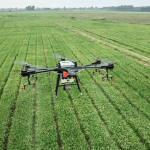 Graınturk Tarım’dan Lisans Başvurusu Açıklaması