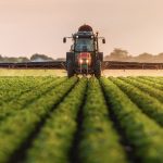 Bakan Kirişci’den Çiftçilere Müjde: Destekleme Ödemeleri Yapılıyor