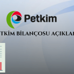 Petkim’in Bilançosu Şaşırttı! Satışlarda ve Karlılıkta Düşüş Var