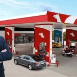 Petrol Ofisi Grubu, Düşük Karbon Kahramanı Ödülünü Aldı