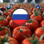 Rusya’dan Türk Domatesi Kararı!