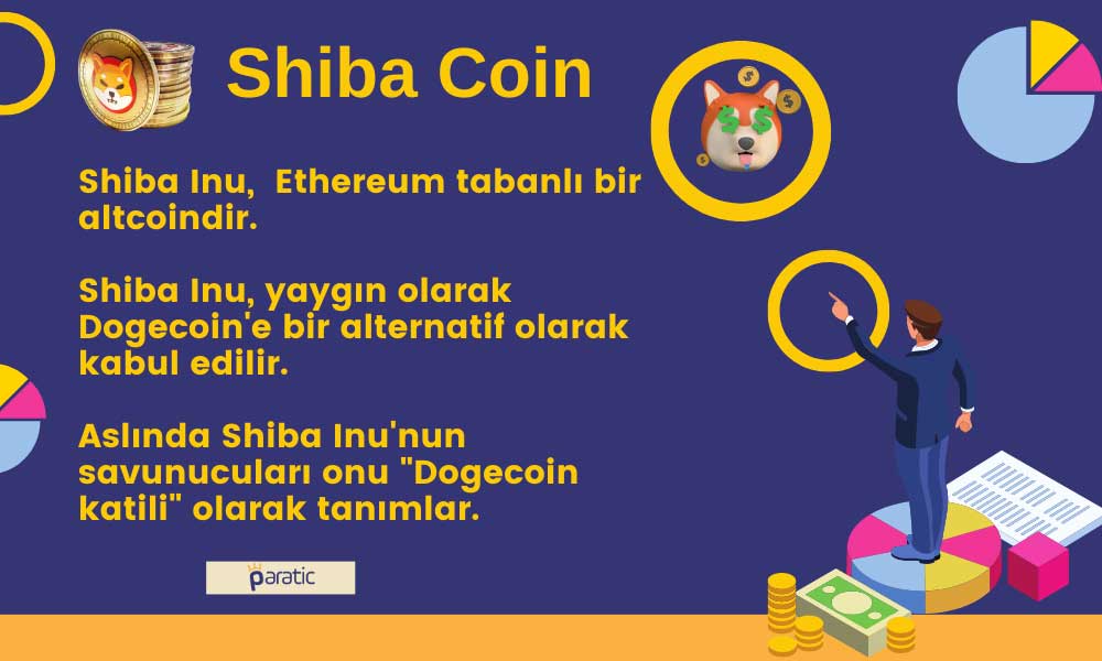 Shiba Coin Nedir? 