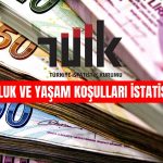 TÜİK 2022 Yoksulluk ve Yaşam Koşulları İstatistiklerini Açıkladı