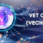 Vet Coin Nedir? Vet Coin Geleceği