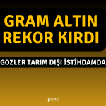 Altın Fiyatları ABD İstihdam Verisi Öncesi Rekor Tazeledi