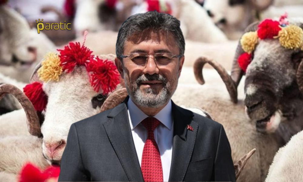 Bakan Yumaklı’dan Üreticilere Kurbanlık Müjdesi!